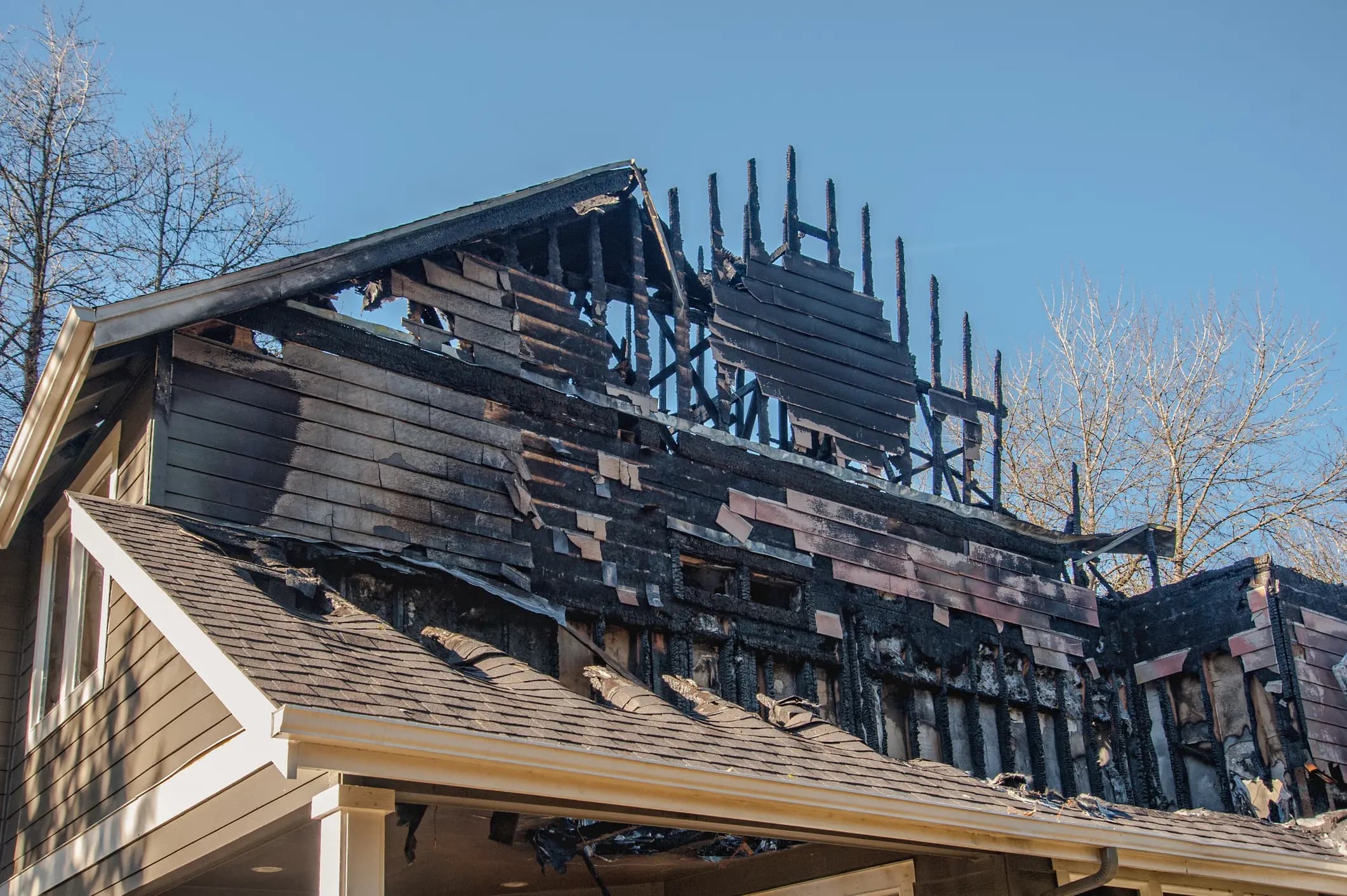 Wildfire Reconstruction