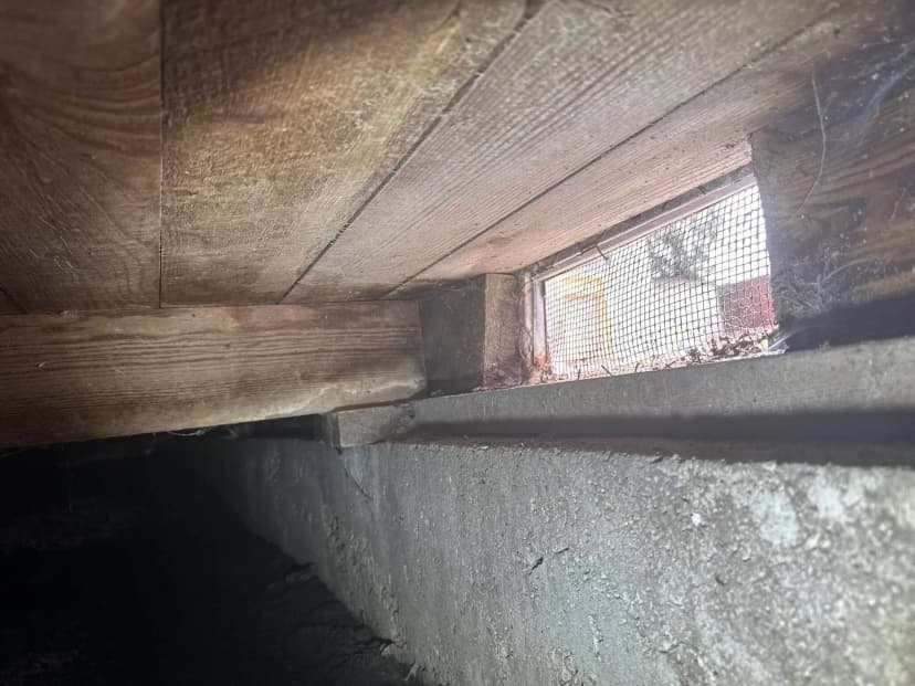 Dublin foundation inspection showing ventilation and structural issues