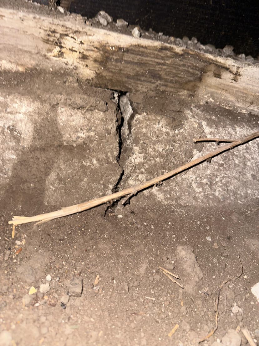 Crawl space water damage and mold