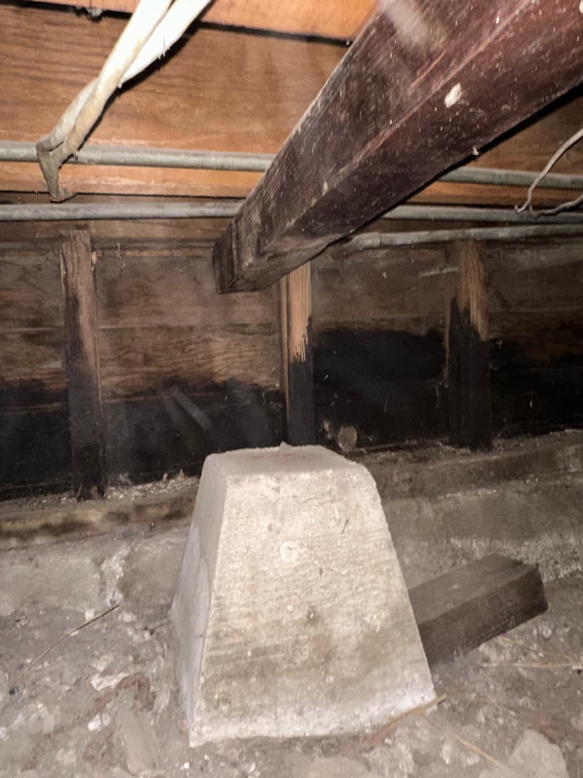 Crawl space water damage and mold